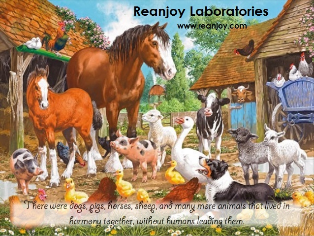 animal-farm-childrens-book-4-638