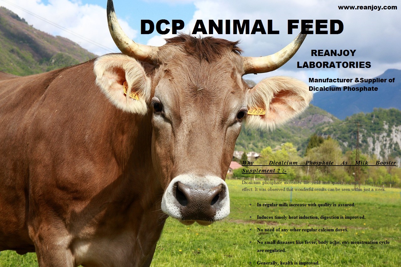 DCP FOR COW